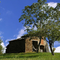 Casetta sul verde di 