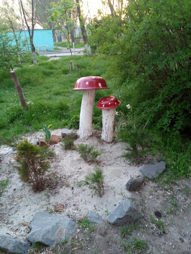 Mushrooms