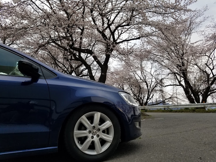 ポロの朝活・桜・夜勤明けに関するカスタム事例の投稿画像4枚目