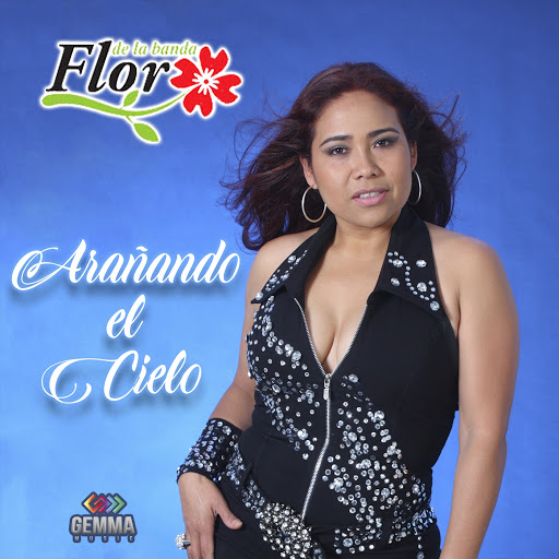Amar sin limites youtube music