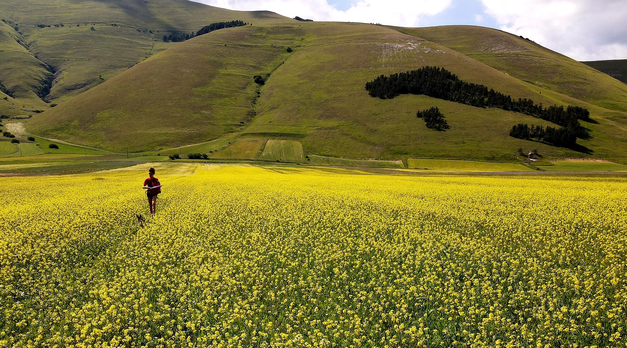 il giallo di Castelluccio di MWALTER