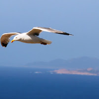 In volo su Castelsardo di 