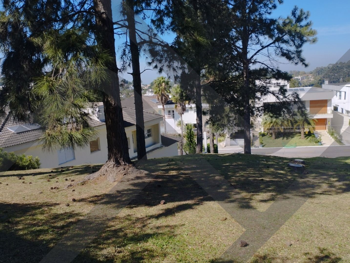 Terreno
