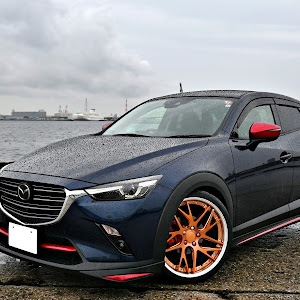 CX-3 DKEFW