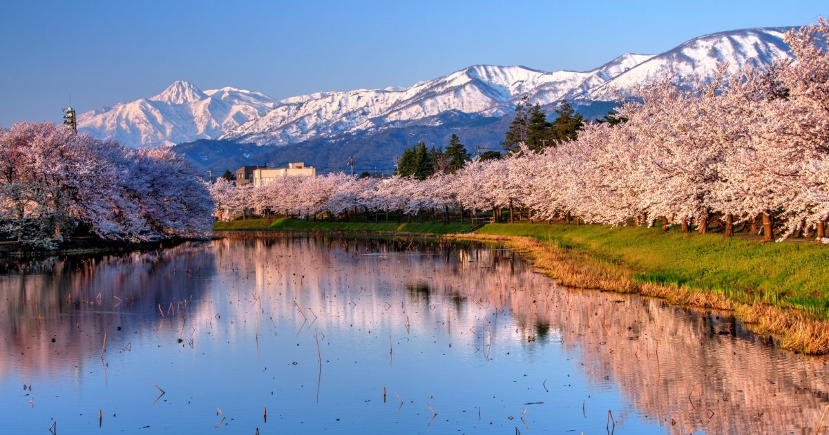 photo of lake in Japan