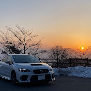 WRX STI