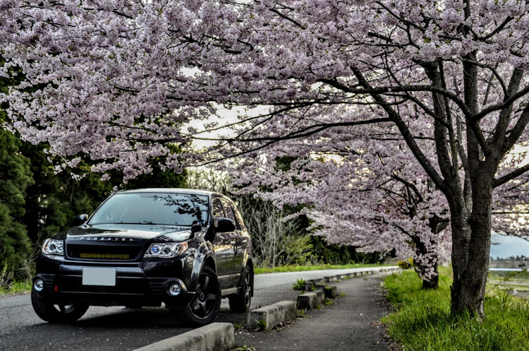 フォレスターのスバル・GW・桜・東北・ドライブに関するカスタム事例の投稿画像1枚目