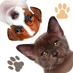 Cover Image of Download Find a Pet - Hidden Object 1.0 APK