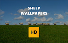 Sheep Wallpaper HD New Tab Theme small promo image