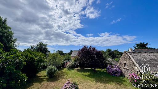 House with garden and terrace 1