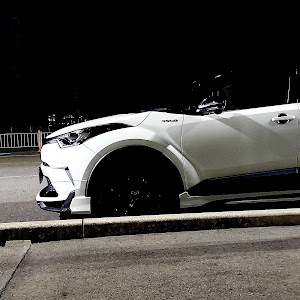 C-HR ZYX10