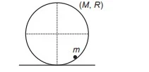 Torsional Pendulum