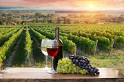 A preferance for sustainable and quality wines