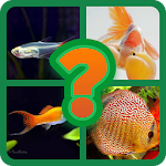 Cover Image of ดาวน์โหลด Find the animals 3.1.8z APK