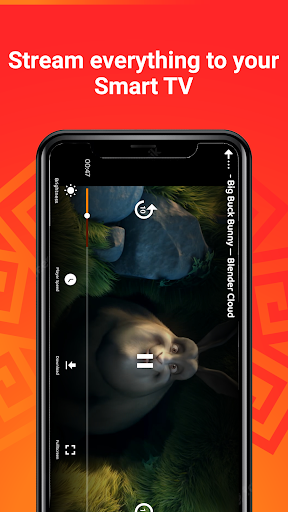 Screenshot InkaCast - Cast to TV