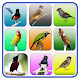 Download Suara Burung Masteran Terlengkap For PC Windows and Mac 1.1