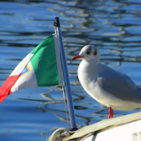 Il guardiano del...porto! di 