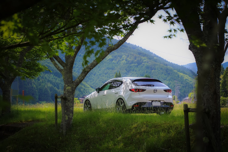 MAZDA3の新緑と愛車・６月もよろしくお願いします・プロドライブGC-05N・カメラマンは息子に関するカスタム事例の投稿画像2枚目