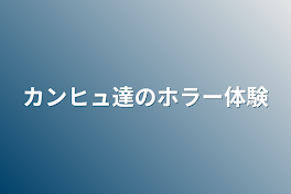 カンヒュ達のホラー体験