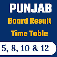 Punjab Result App 2020  All Punjab Board Result