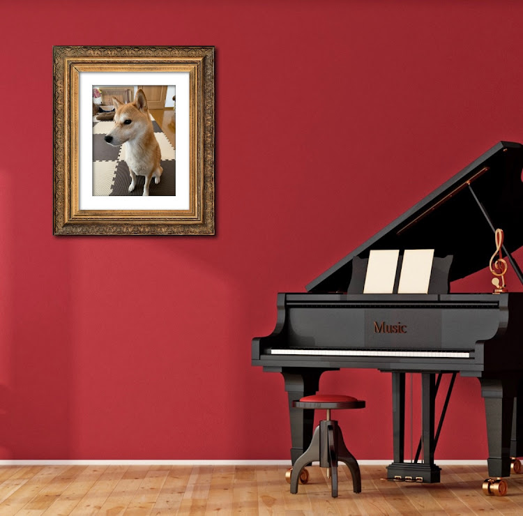 718 ボクスターのポルシェ・ボクスター・スーパーカーだらけ・コードレスブロワー・豆柴に関するカスタム事例の投稿画像13枚目