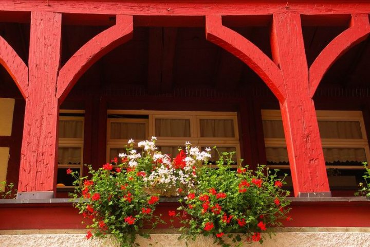 Balcone con geranio di lavera