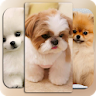 Dog Wallpaper icon