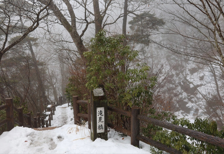 の投稿画像9枚目