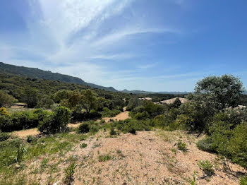 terrain à batir à Figari (2A)