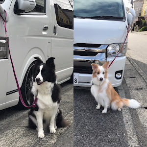 ハイエースバン