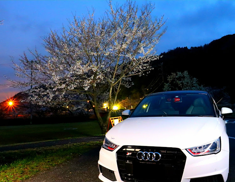 S1 スポーツバックの桜🌸コラボ・春を感じる・アウディのある生活・夜桜🌸に関するカスタム事例の投稿画像1枚目