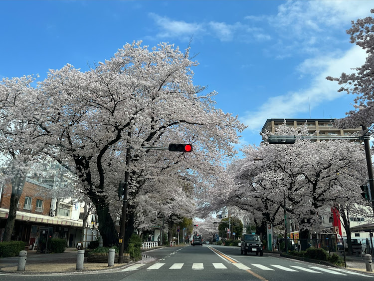 の投稿画像4枚目