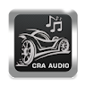 CAR AUDIO APP icon