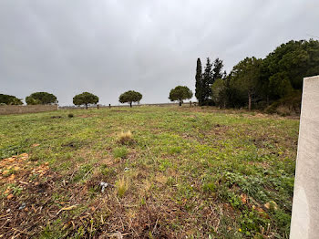 terrain à Serignan (34)