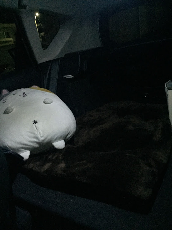 オーリスの仮眠室・軽く内装紹介に関するカスタム事例の投稿画像2枚目