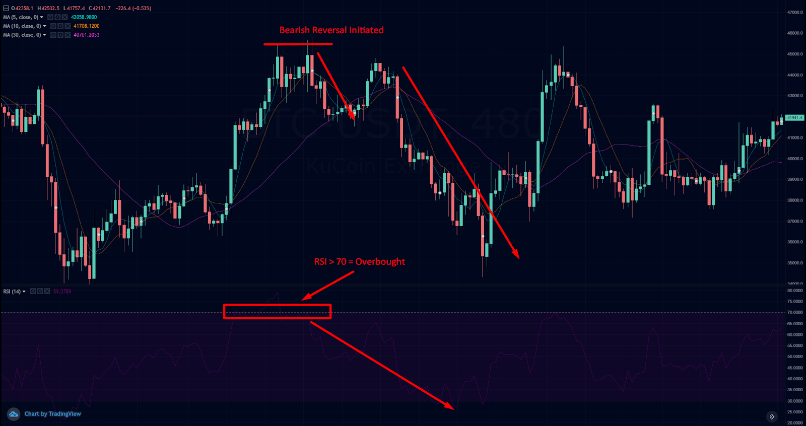 KuCoin Trading Platform: Bitcoin Daily Chart : Source BTC/USDT