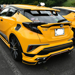 C-HR ZYX10