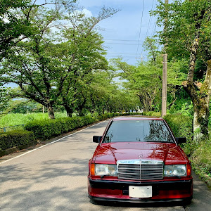 190シリーズ W201