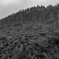 Natura ci racconta la sua forza di 