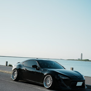 86 ZN6