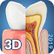 Dental Anatomy Download on Windows