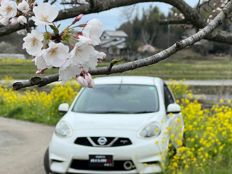 マーチのいつもいいね＆コメントありがとうございます🥰・ホットハッチで行こうぜぇ🔥・桜シーズン開幕・タイヤ、ホイール交換・ナンバープレート隠しに関するカスタム事例の投稿画像8枚目