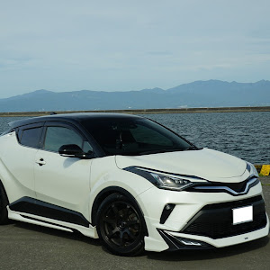 C-HR ZYX11