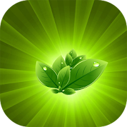 Ayurvedic Upchar  Icon