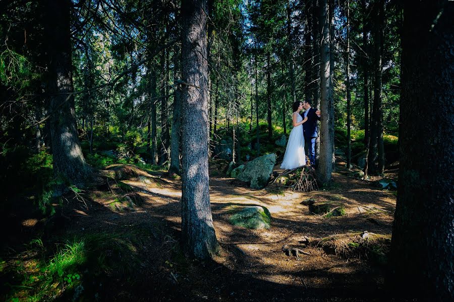 Fotograful de nuntă Grzegorz Sztybel (sztybel). Fotografia din 29 mai 2017