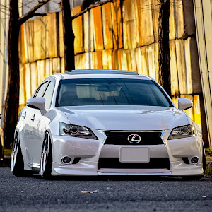 GS GRL11