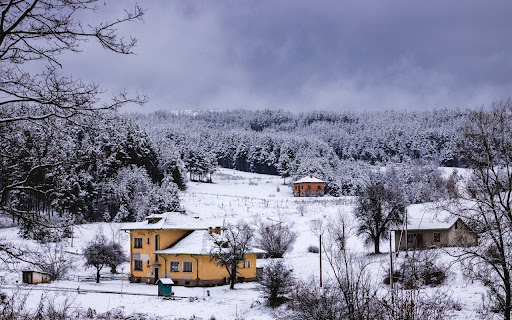 Houses on snow