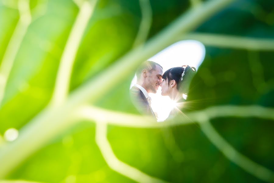 Photographe de mariage Vincent BOURRUT (bourrut). Photo du 25 août 2015