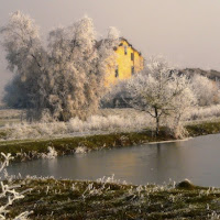 Le radici profonde non ghiacciano di 