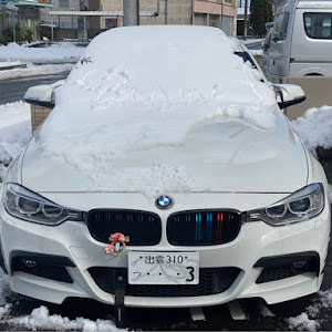 320i M Sport (F30)